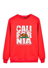 sweatshirt look california republic